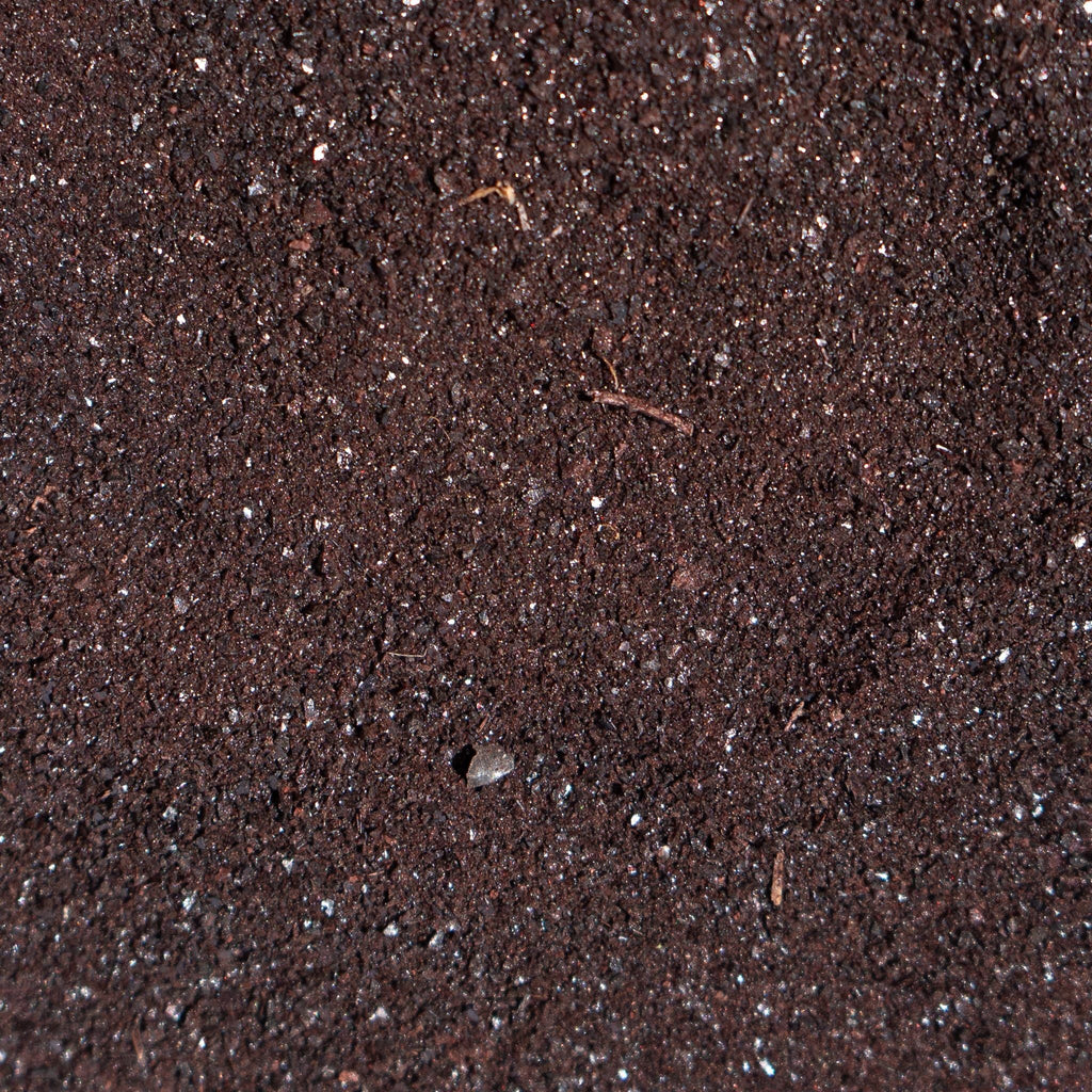 Freeze-Dried Beef Blood Topper for Dogs and Cats