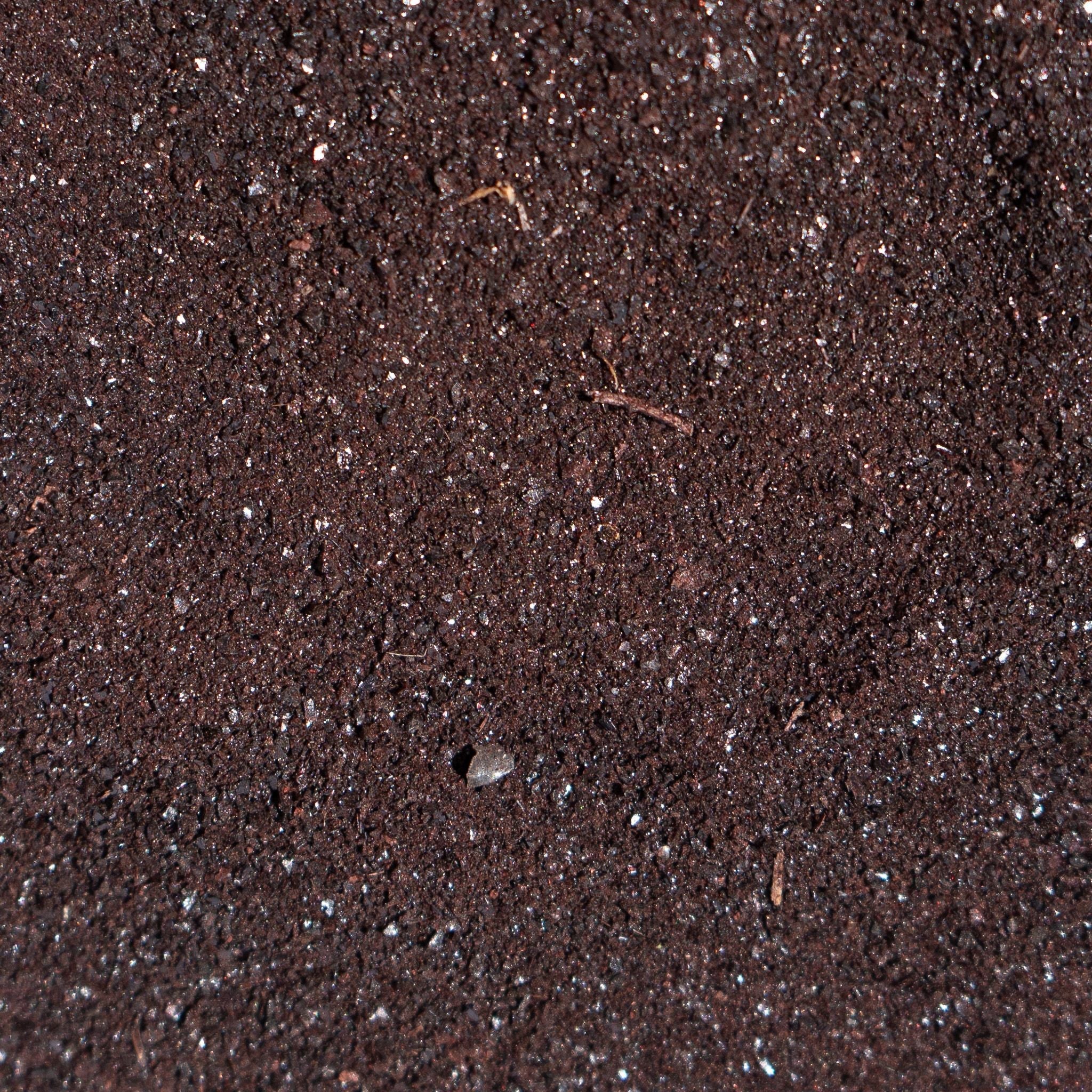 Freeze-Dried Beef Blood Topper for Dogs and Cats