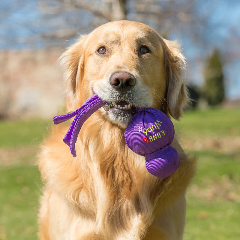 KONG Wubba Dog Tug and Toss Toy with Squeaker
