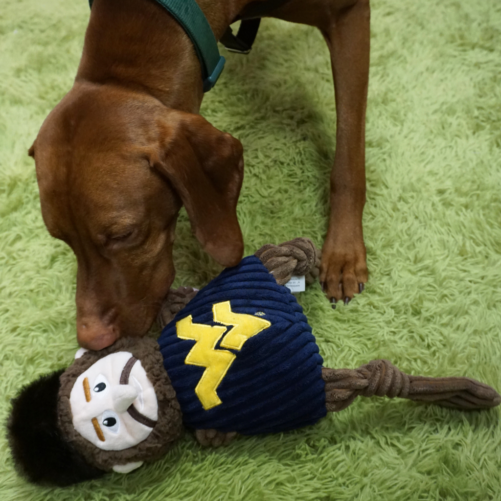 WVU Mountaineer Knottie Plush Dog Toy with Squeakers