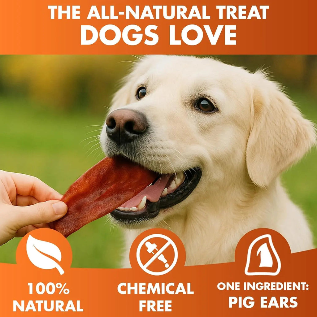 Whole Pig Ear Dog Chew – Single Ingredient, Oven-Baked