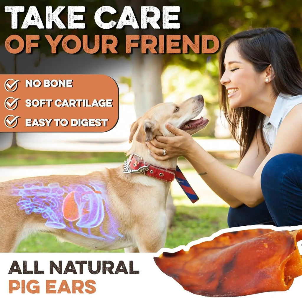 Whole Pig Ear Dog Chew – Single Ingredient, Oven-Baked