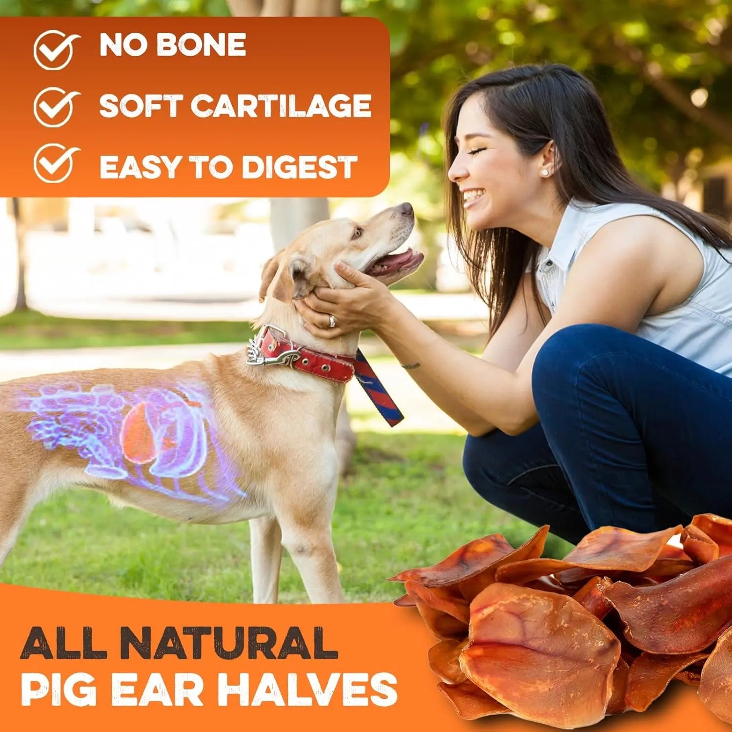 Whole Pig Ear Dog Chew – Single Ingredient, Oven-Baked