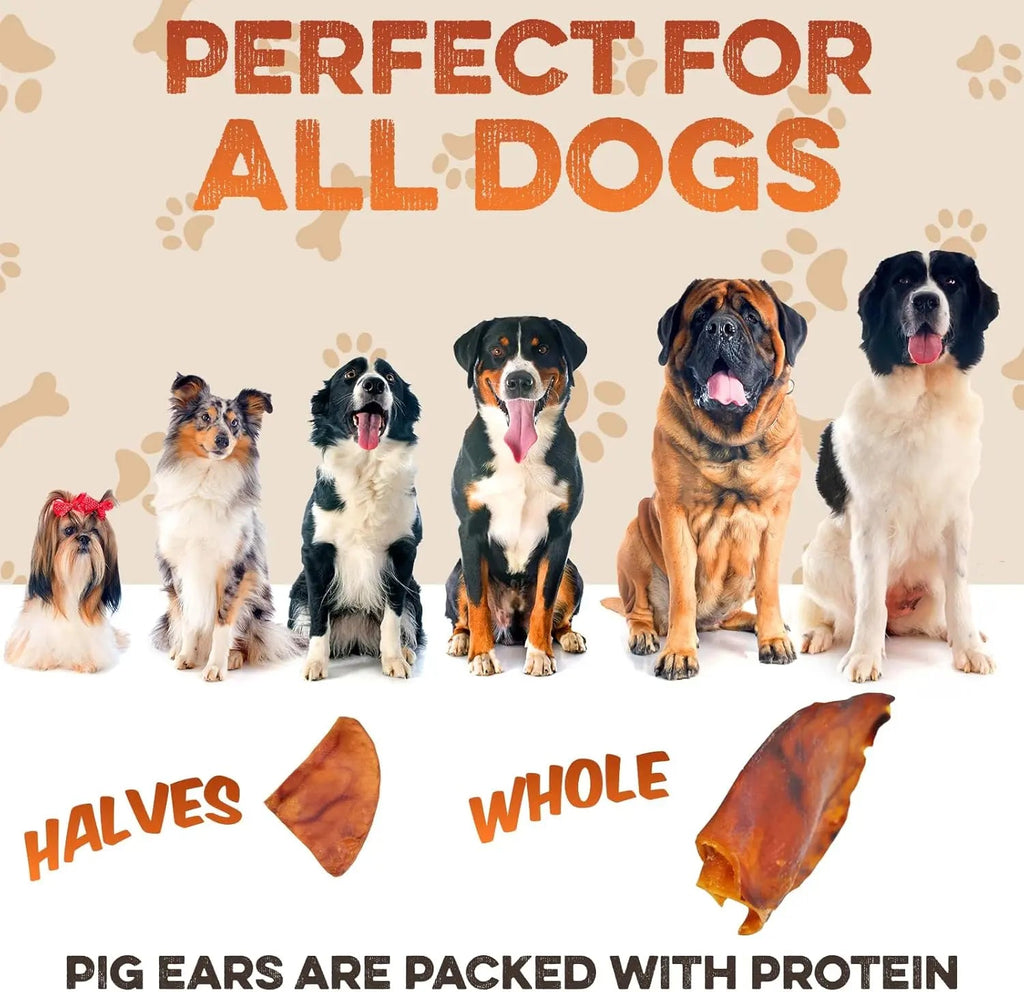 Whole Pig Ear Dog Chew – Single Ingredient, Oven-Baked