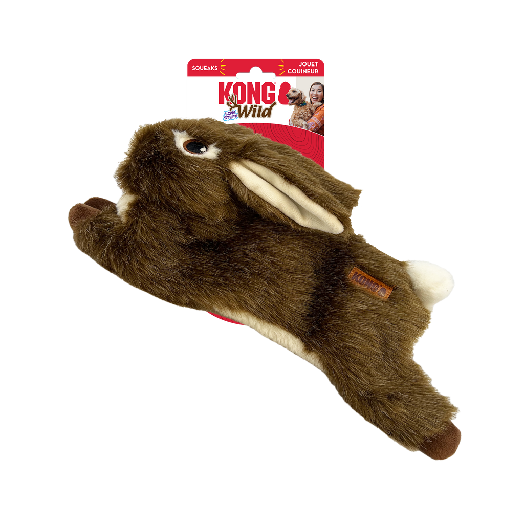 Plush Dog Toy with Squeaker and Minimal Stuffing