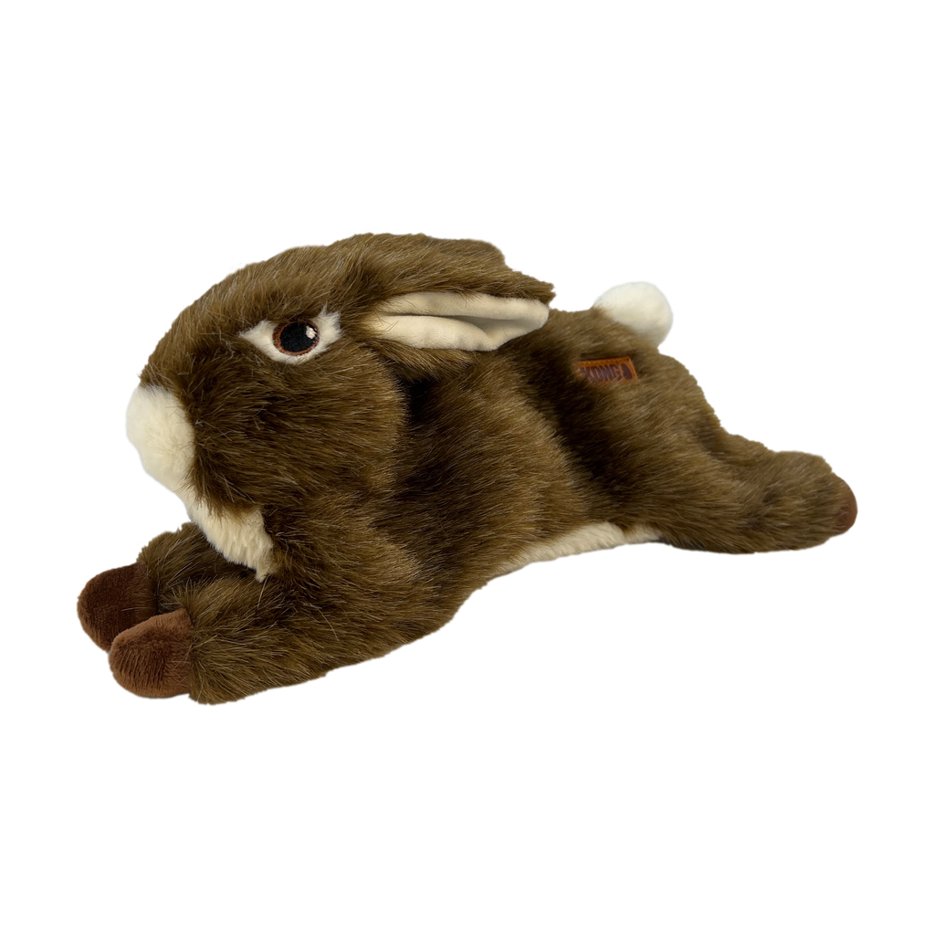Plush Dog Toy with Squeaker and Minimal Stuffing