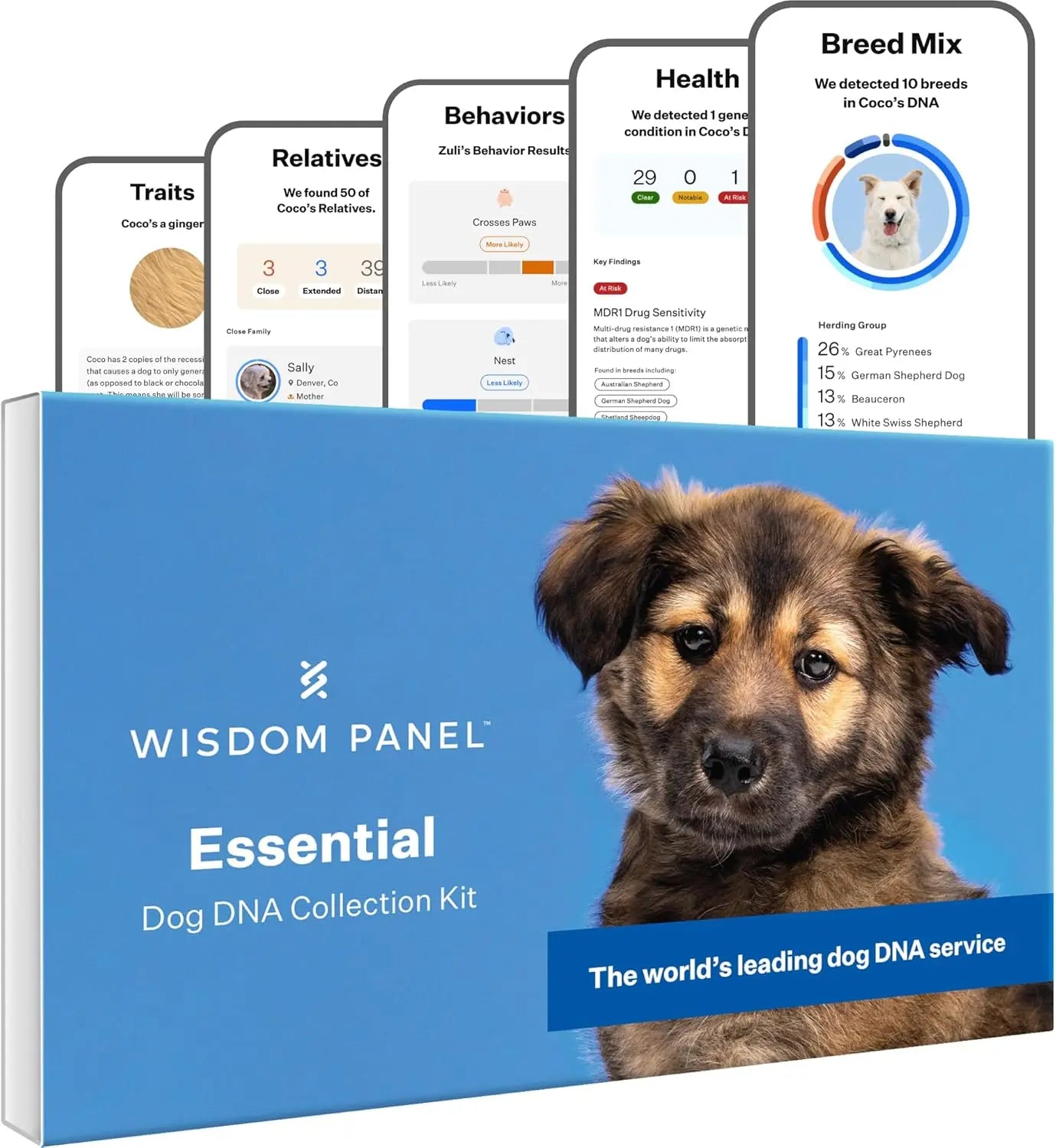 Wisdom Panel Essential Dog DNA Kit – Breed, Health & Trait Insights
