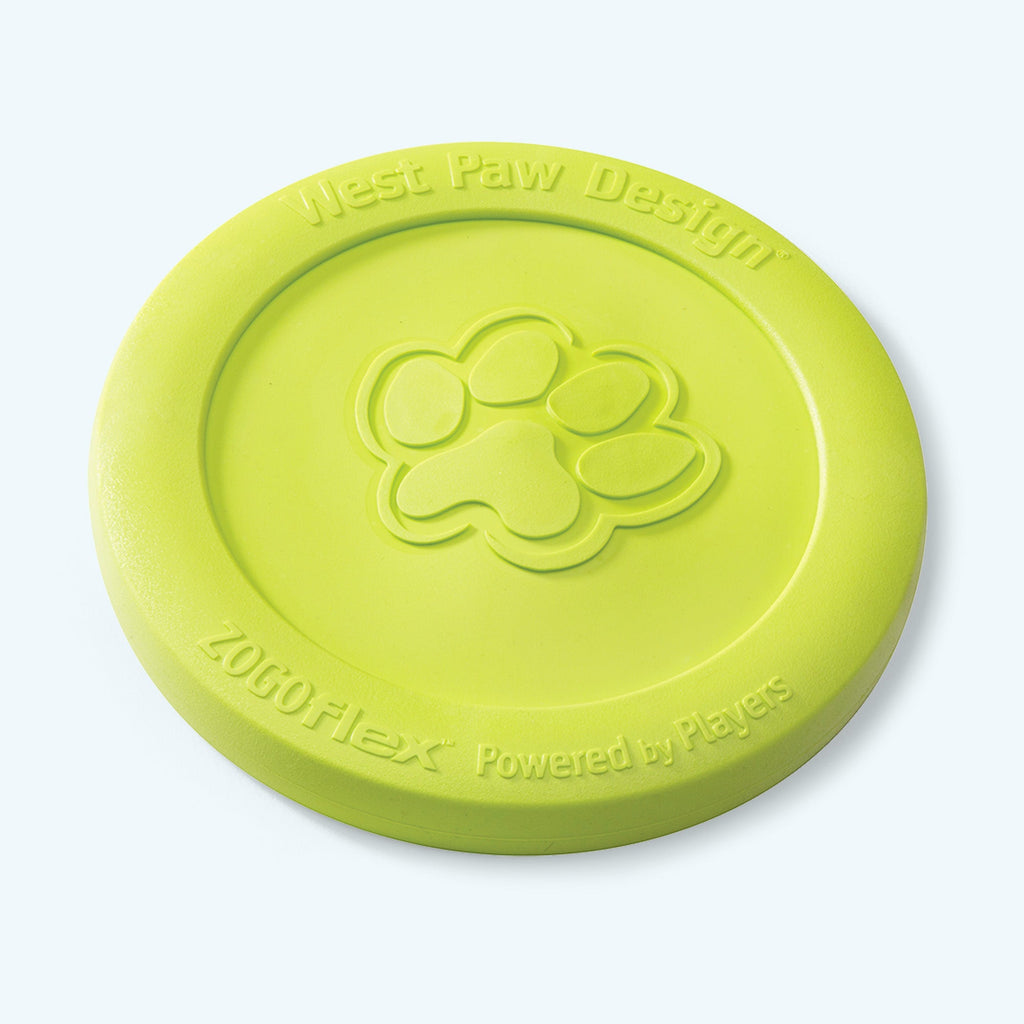 Zisc Soft Dog Disc for Gentle Chewers, Lightweight & Floatable