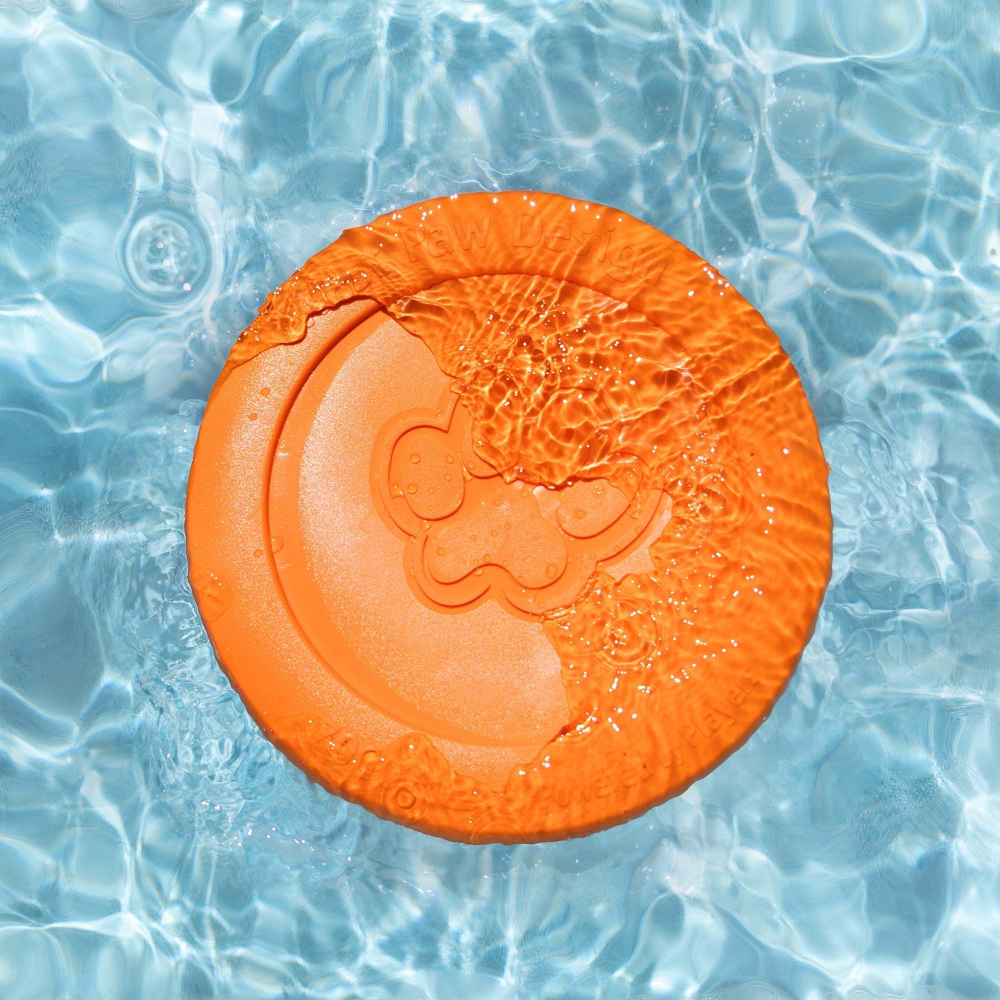 Zisc Soft Dog Disc for Gentle Chewers, Lightweight & Floatable