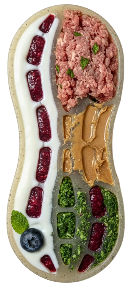 Peanut Nylon Dog Chew Toy for Aggressive Chewers, Large Breeds