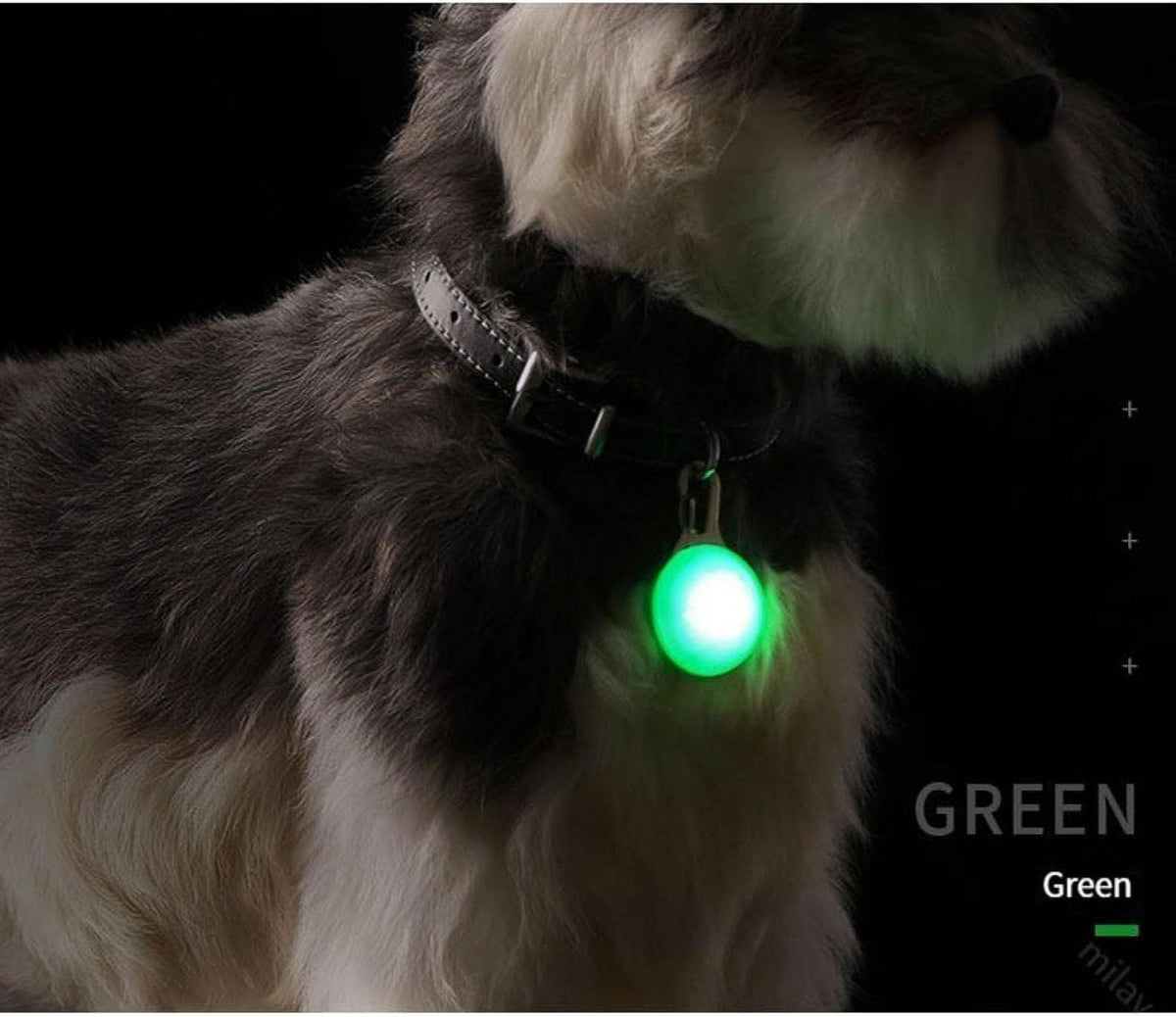 LED Dog Collar Light with Clip, 3 Modes, Compact & Multipurpose