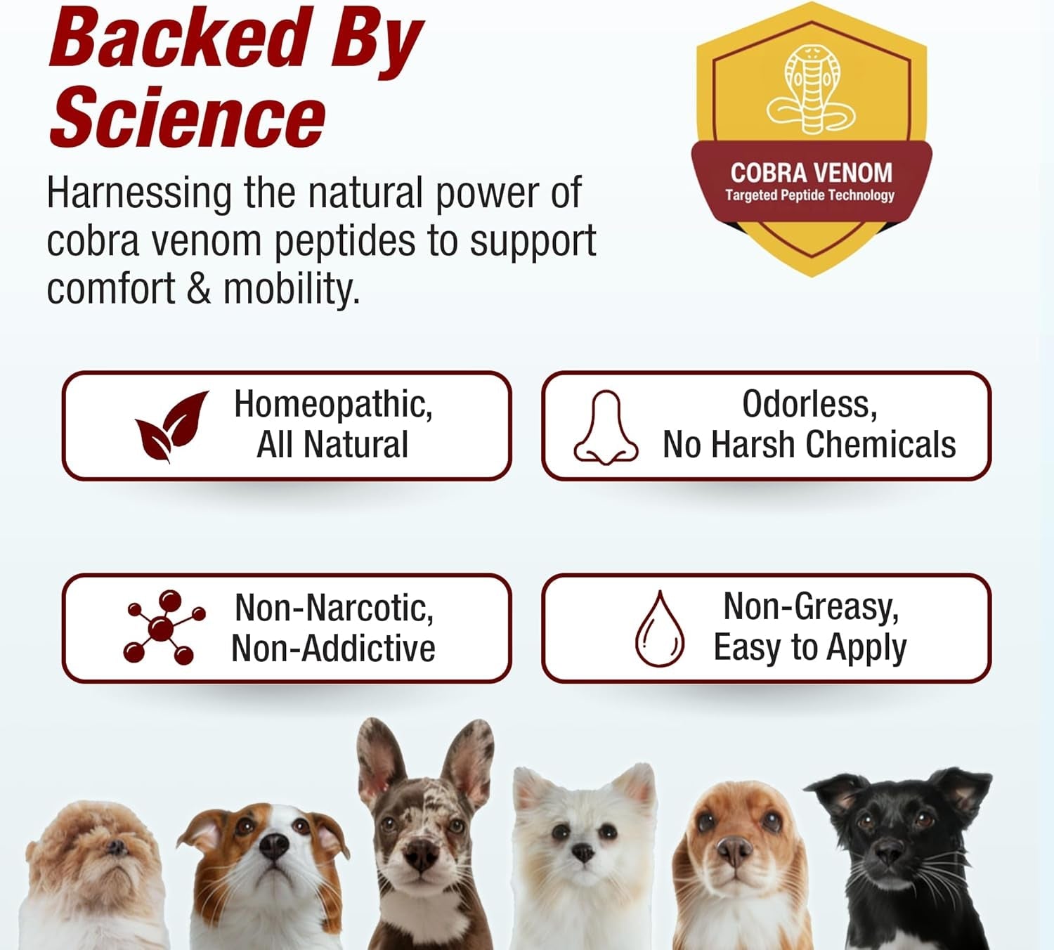 Joint Support Liquid Drops for Dogs and Cats, Chicken Flavor, 2 oz