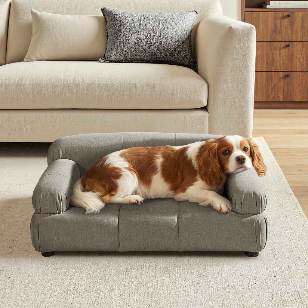 Velvet Pet Sofa with Bolstered Arms, Gray, Small to Medium Dogs