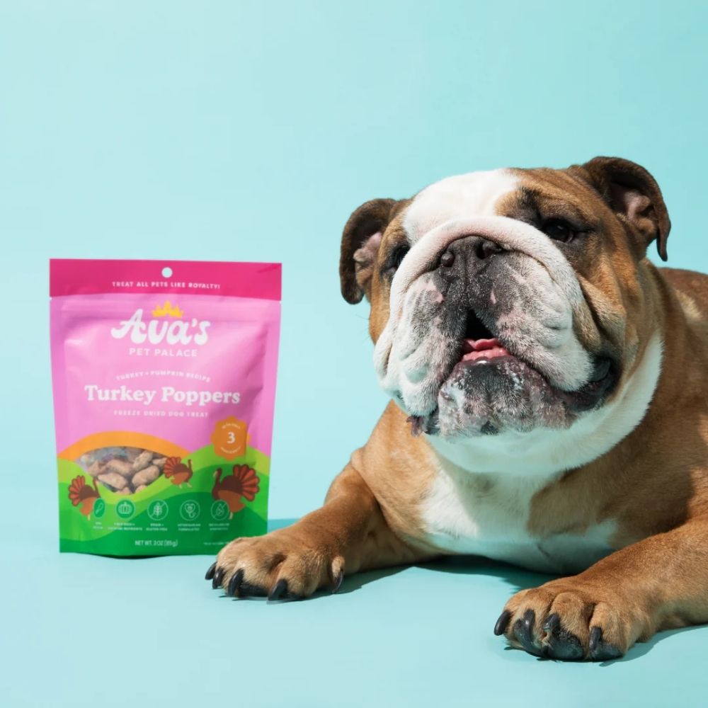 Freeze-Dried Turkey Poppers Dog Treats with Pumpkin, 3 oz