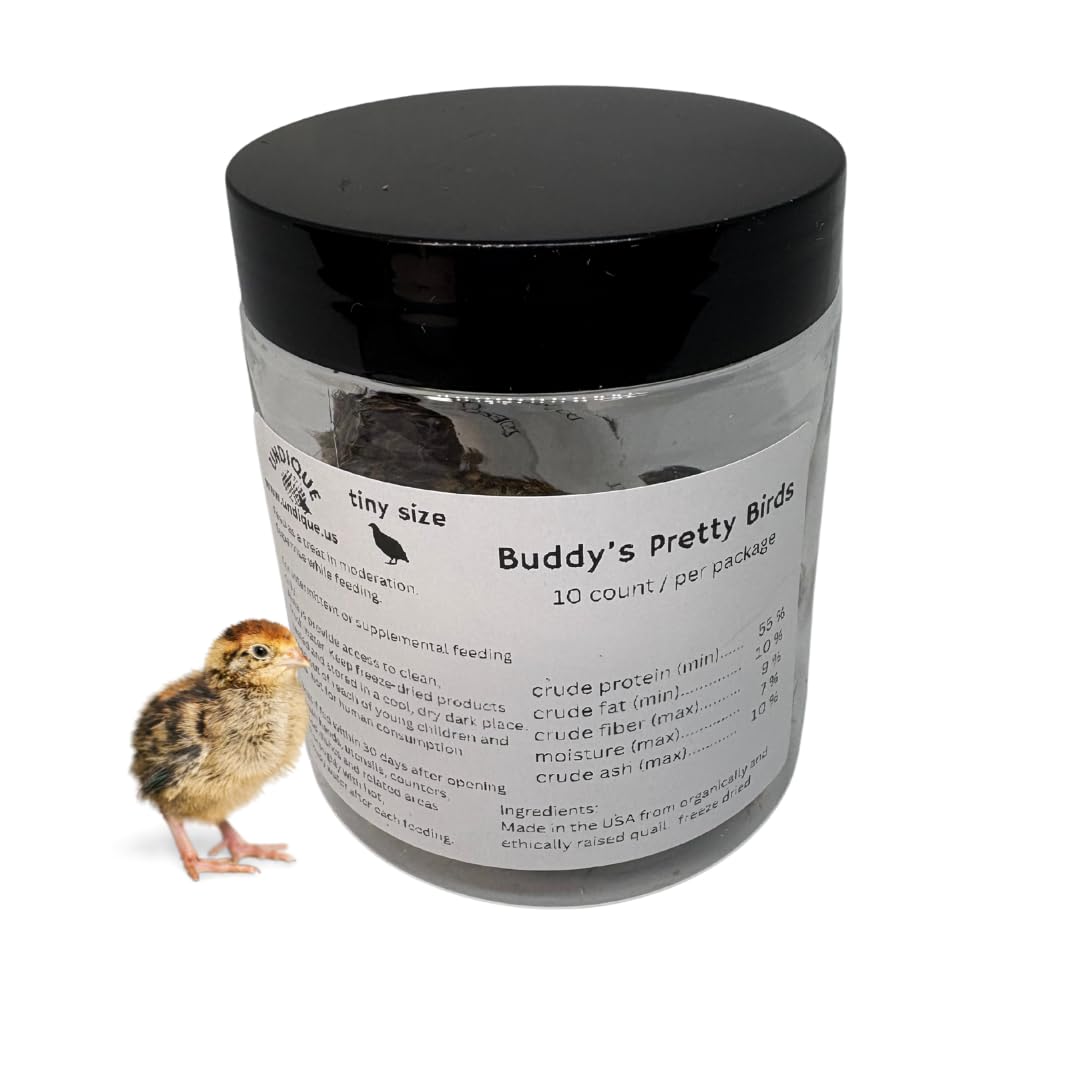 Quail Bites Pet Treats for Small Dogs and Cats