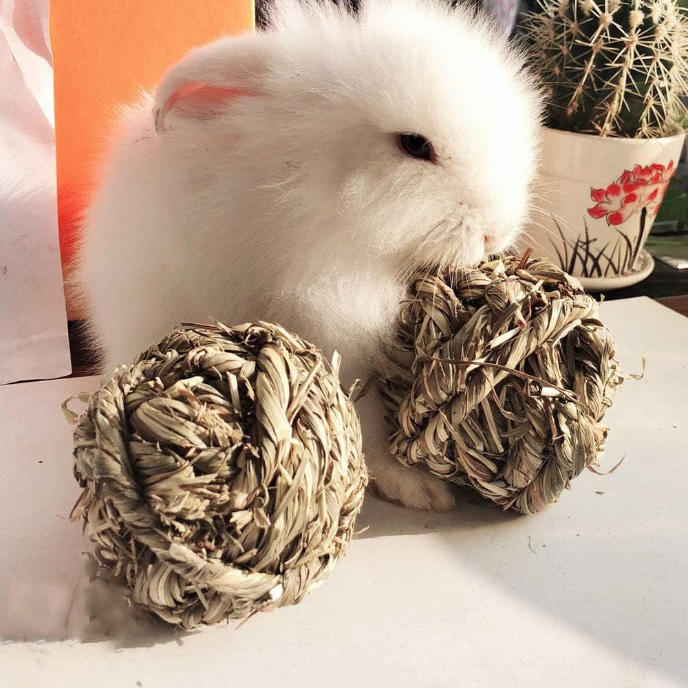 Timothy Grass Chew Balls for Small Pets, Set of 3