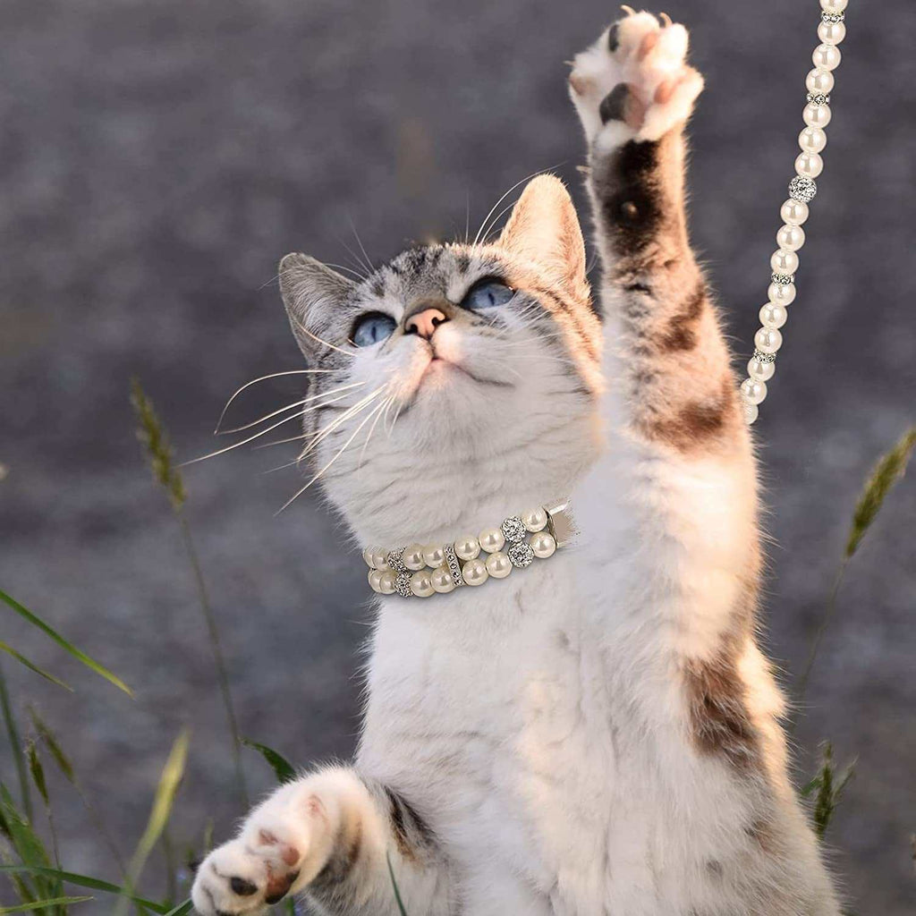 2 Pcs Pearl Collar and Leash for Dogs