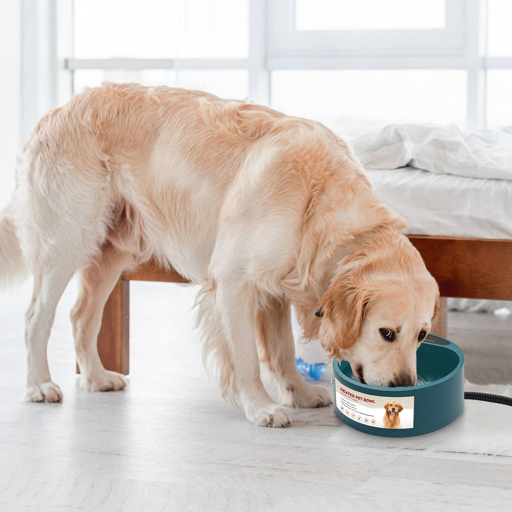 Heated Pet Water Bowl, 74.4 oz, IP67 Waterproof for Dogs, Cats & Rabbits