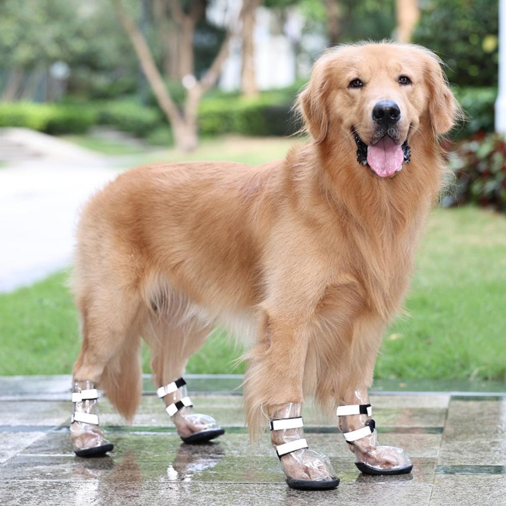 Waterproof PVC Dog Shoes, Non-Slip, Black, Set of 4