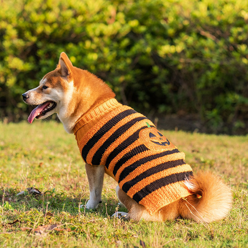 Halloween Dog Sweater – Acrylic Knit, Multiple Colors & Sizes