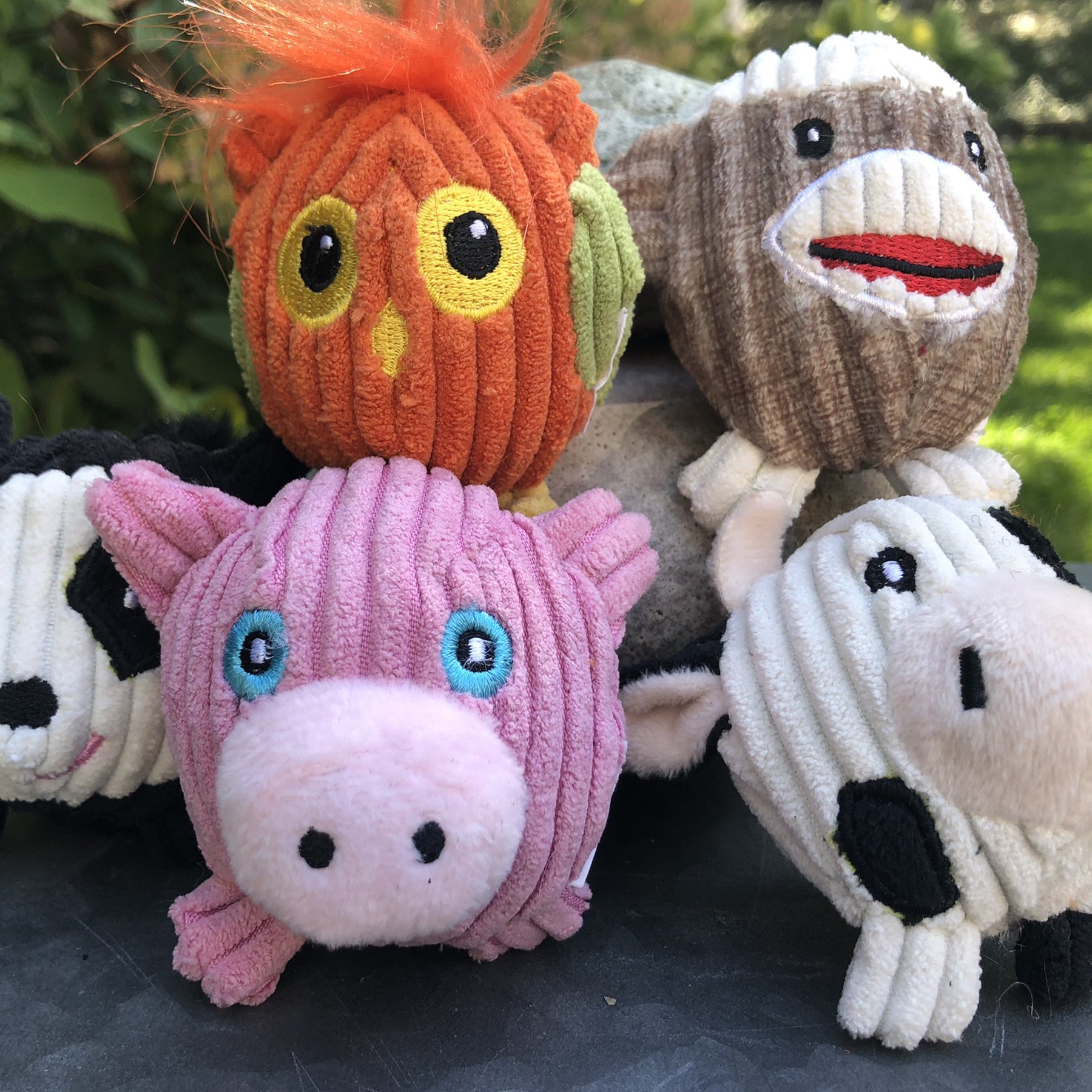 Wee Corduroy Crew Small Dog Plush Toy Set, 5-Pack