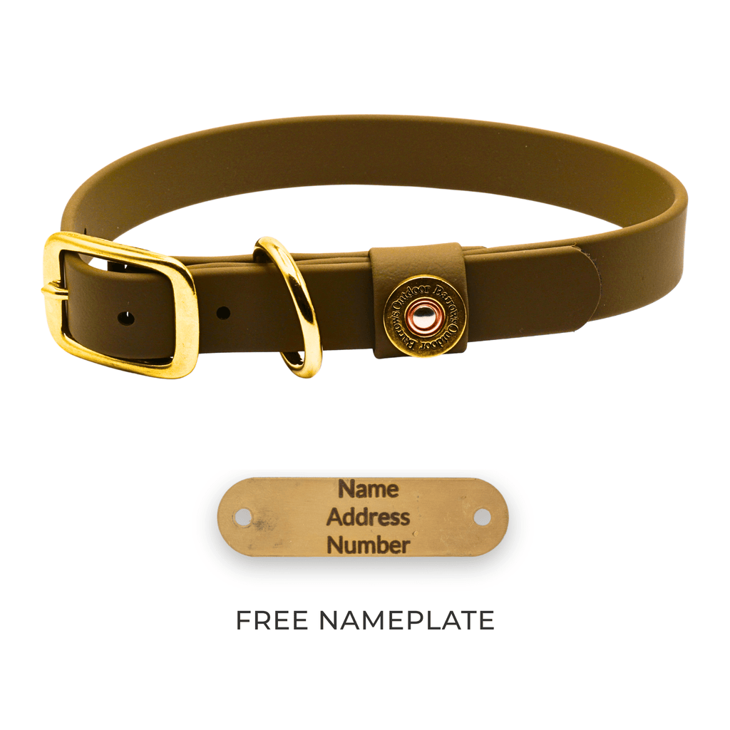 Barrows Biothane Traditional Dog Collar