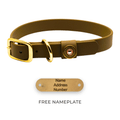 Barrows Biothane Traditional Dog Collar