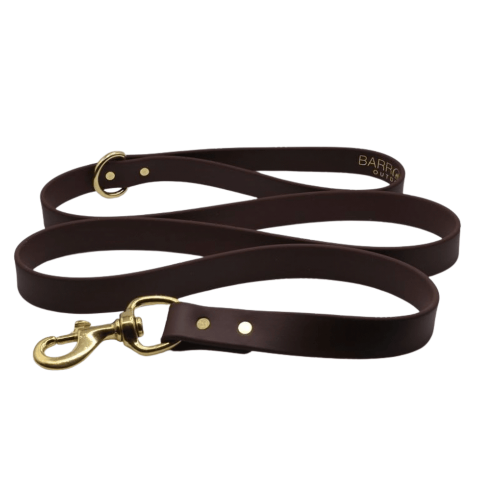 Barrows Outdoors Ironhide Biothane Dog Leash with Steel Slip Chain