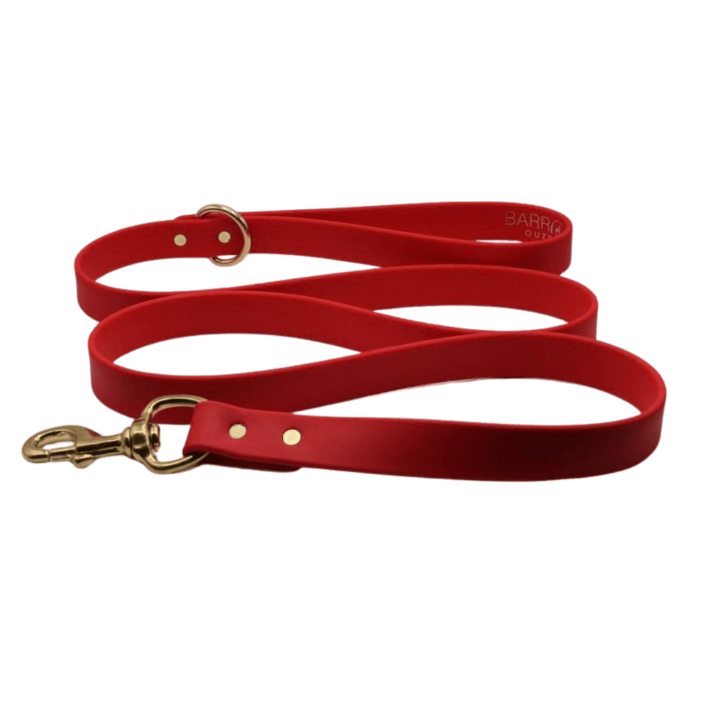 Ironhide Leash with Steel Slip Chain and Biothane Handle
