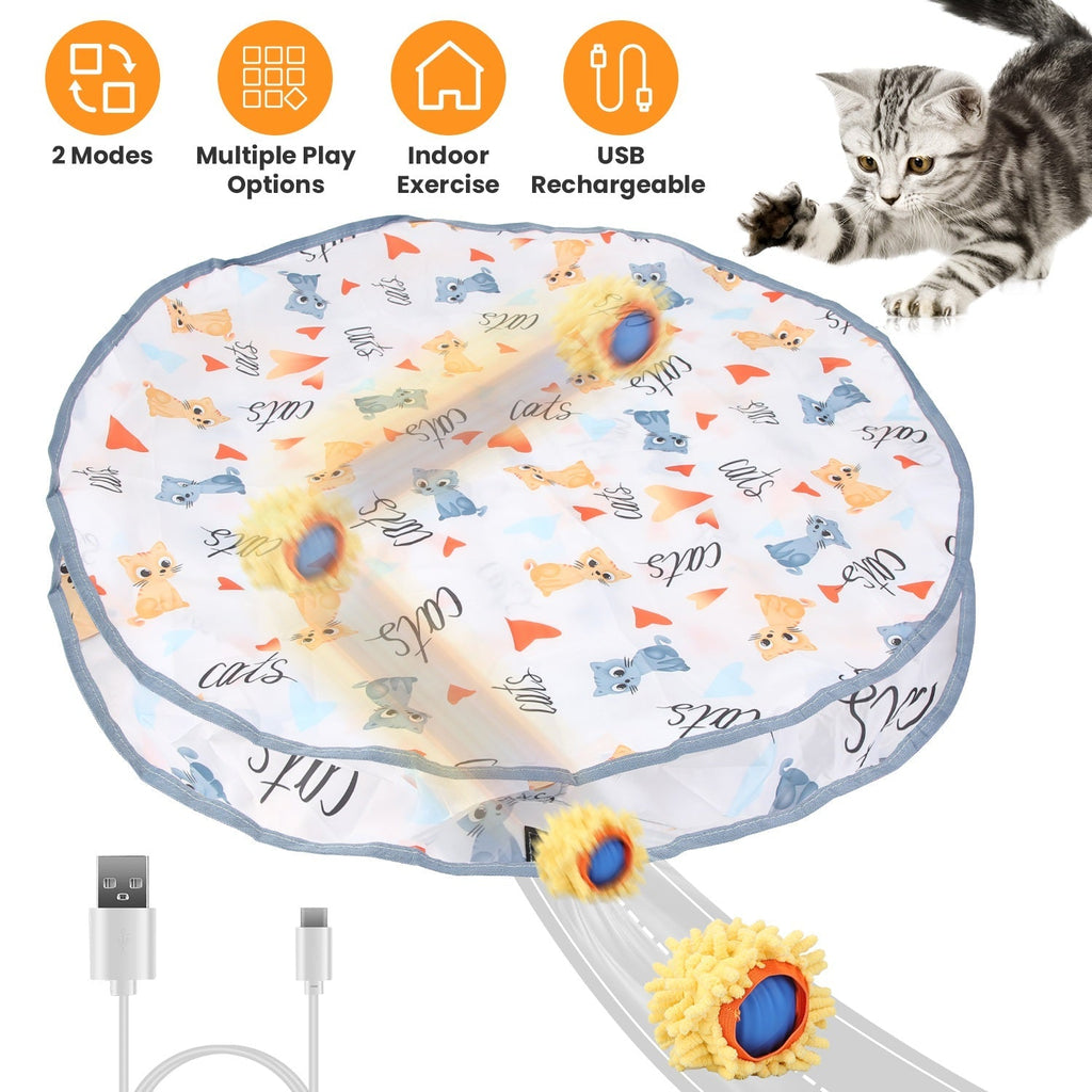 Interactive Rolling Ball Cat Toy with Rechargeable Battery