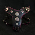Bestia Bijou Leather Dog Harness with Pink Rhinestones, Small–Medium