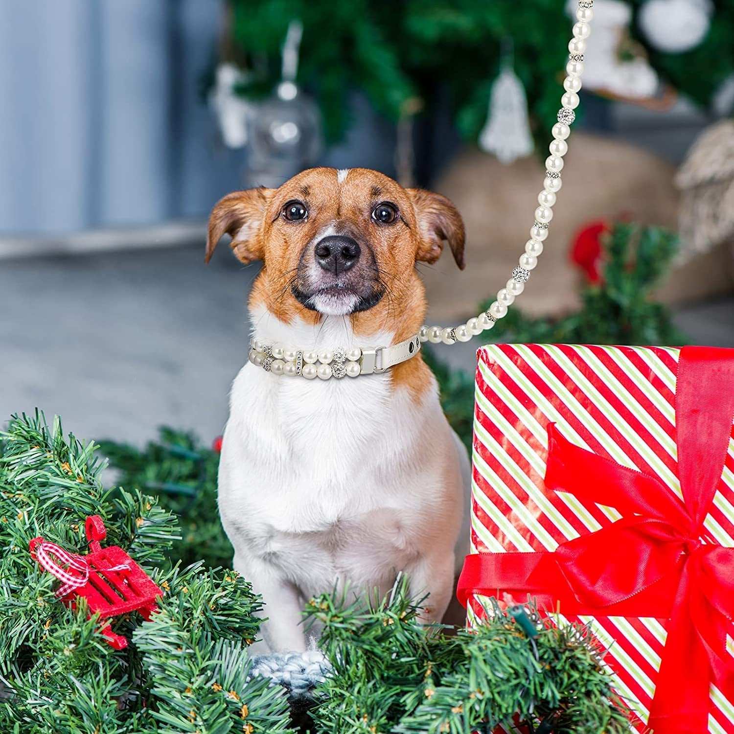 2 Pcs Pearl Collar and Leash for Dogs