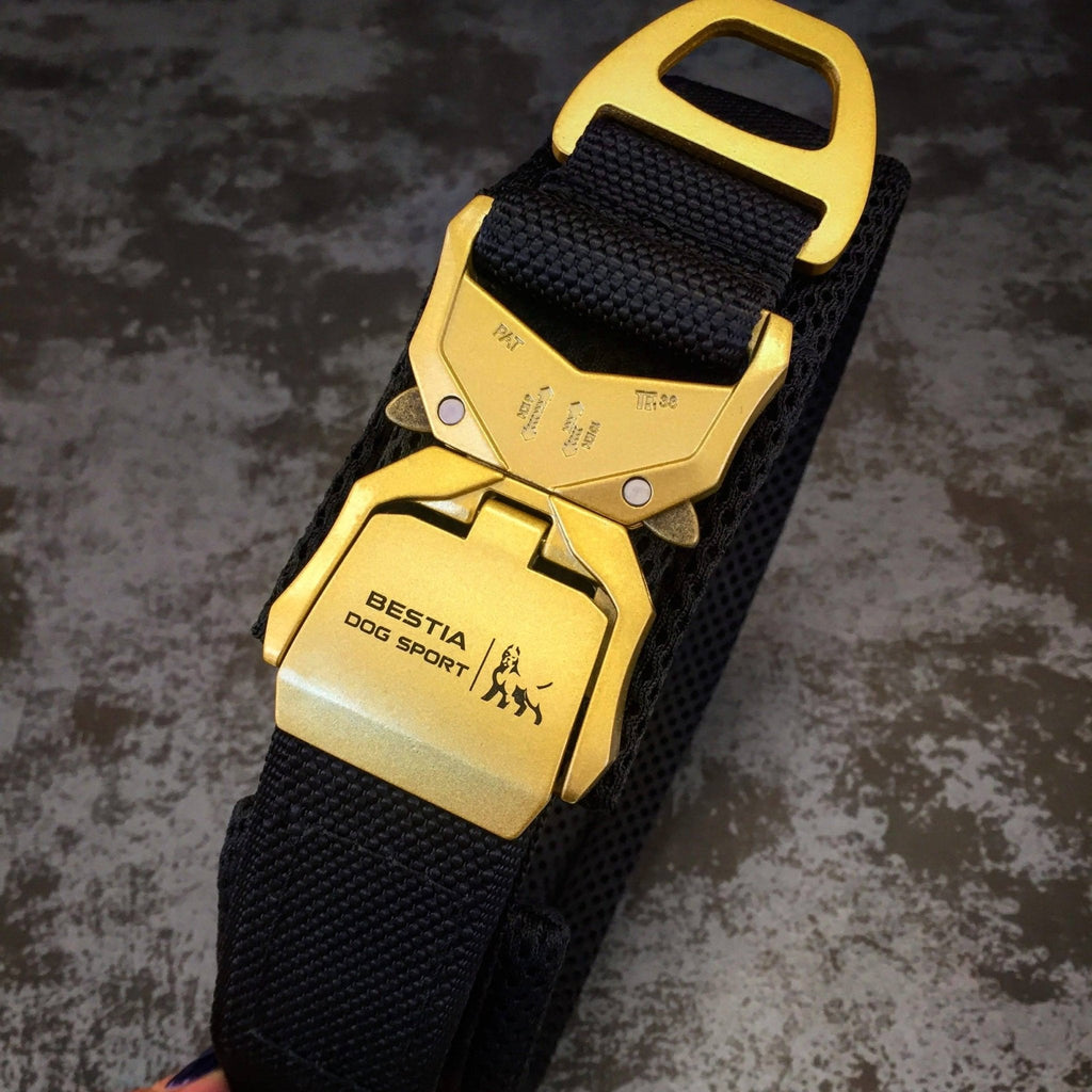 Bestia Dog Sport 2-Inch Fast Release Collar for Large Breeds