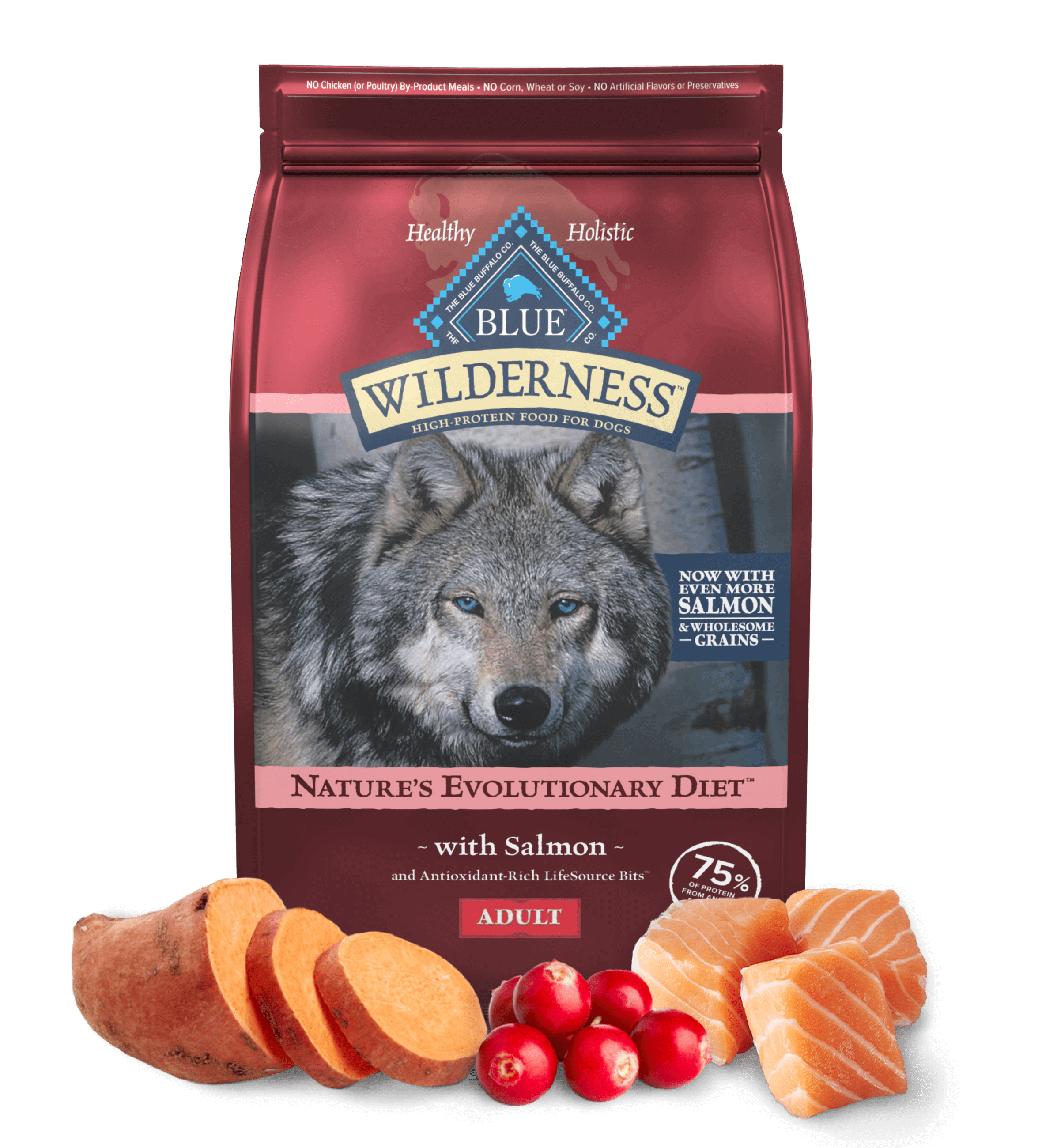 Deboned Salmon & Wholesome Grains Adult Dog Food
