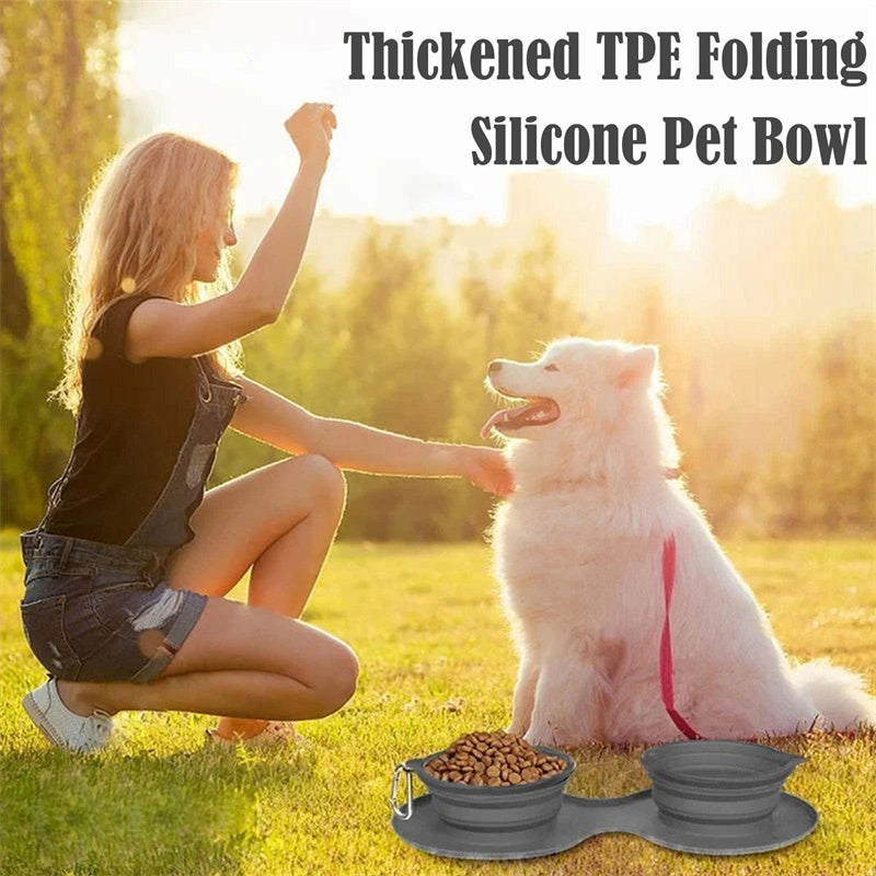 Collapsible Double Pet Bowl Set with Non-Slip Silicone Mat