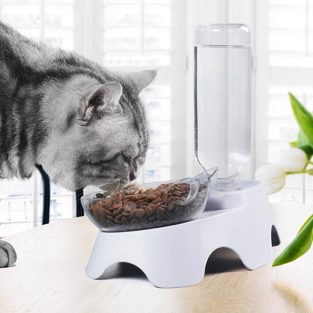 2-in-1 Cat and Small Dog Feeder with Automatic Water Dispenser