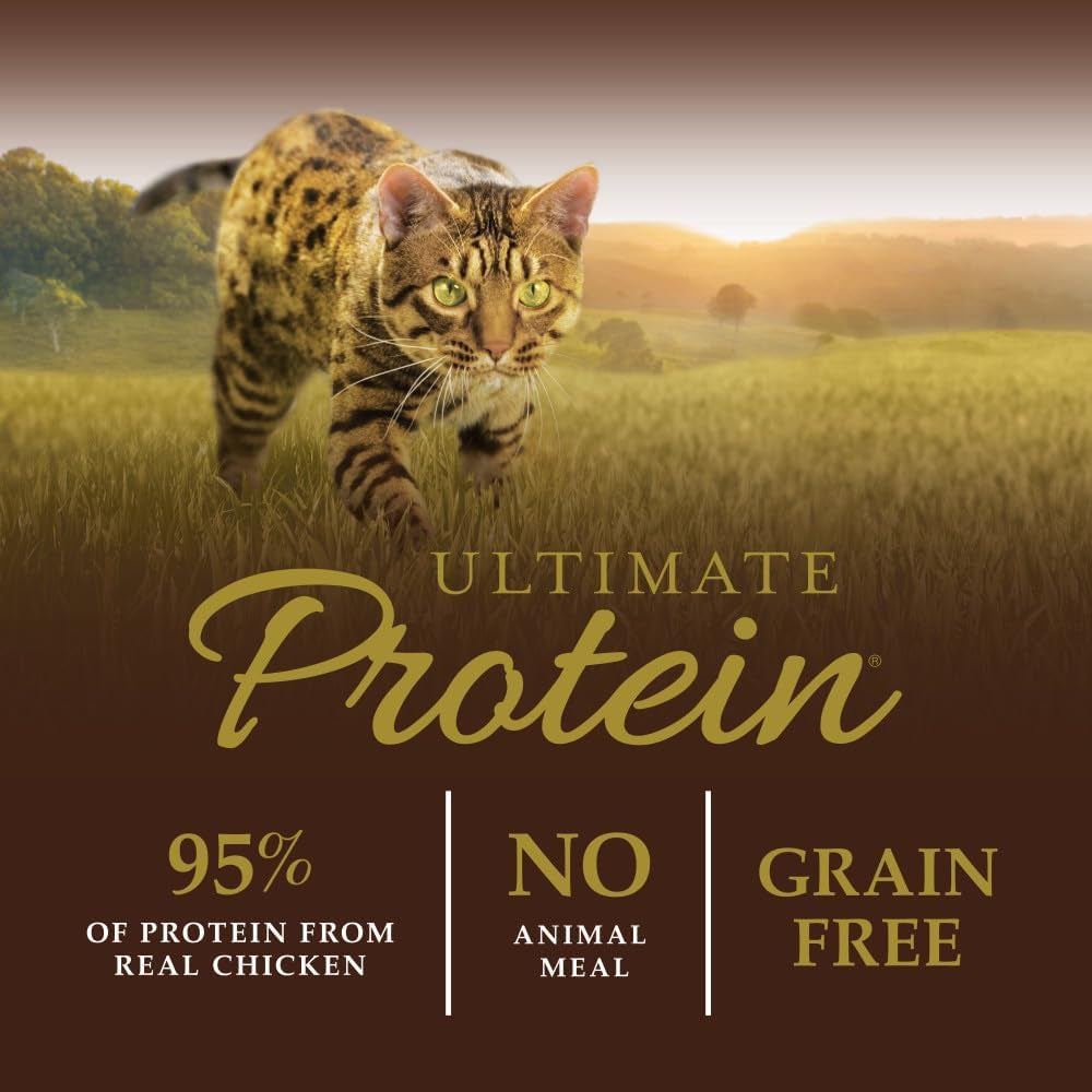 Grain-Free Dry Cat Food with Cage-Free Chicken, Raw-Coated Kibble