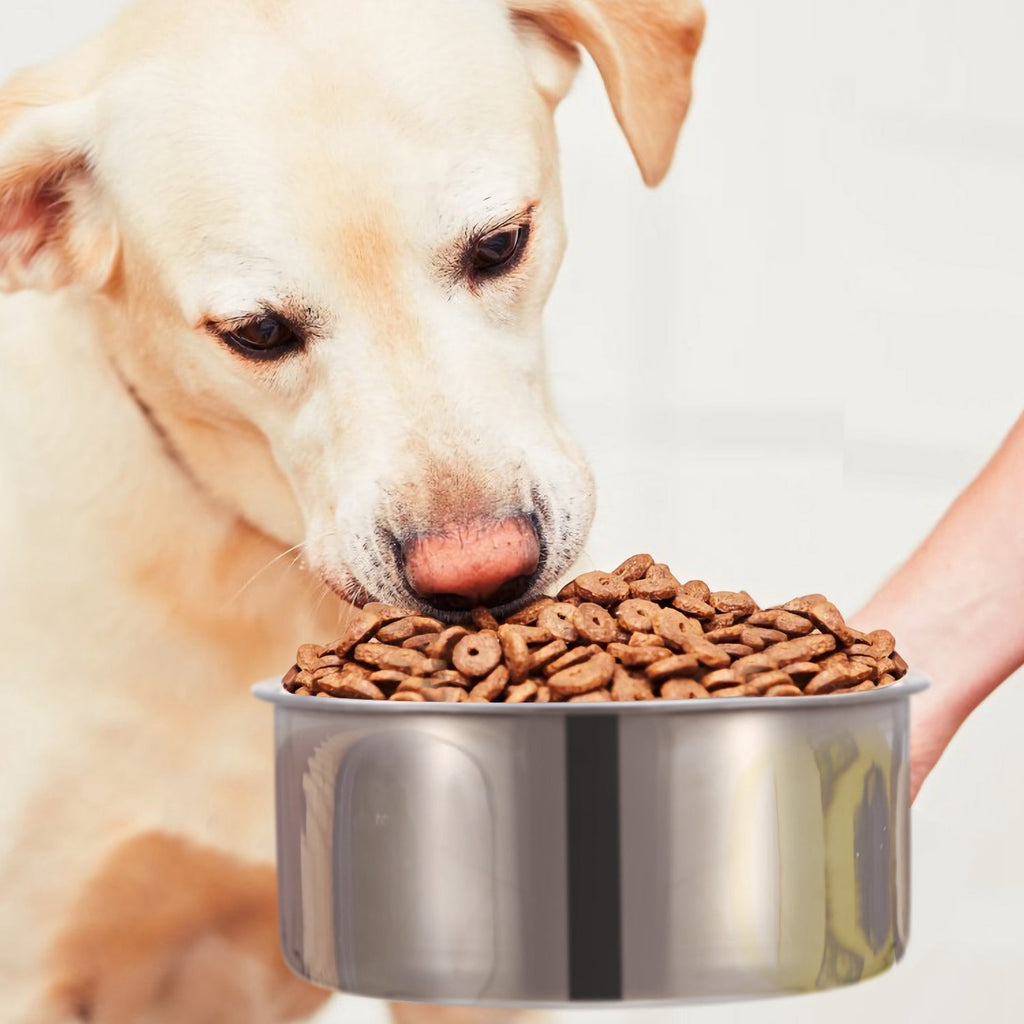 Hanging Stainless Steel Dog Bowl with Clamp Holder