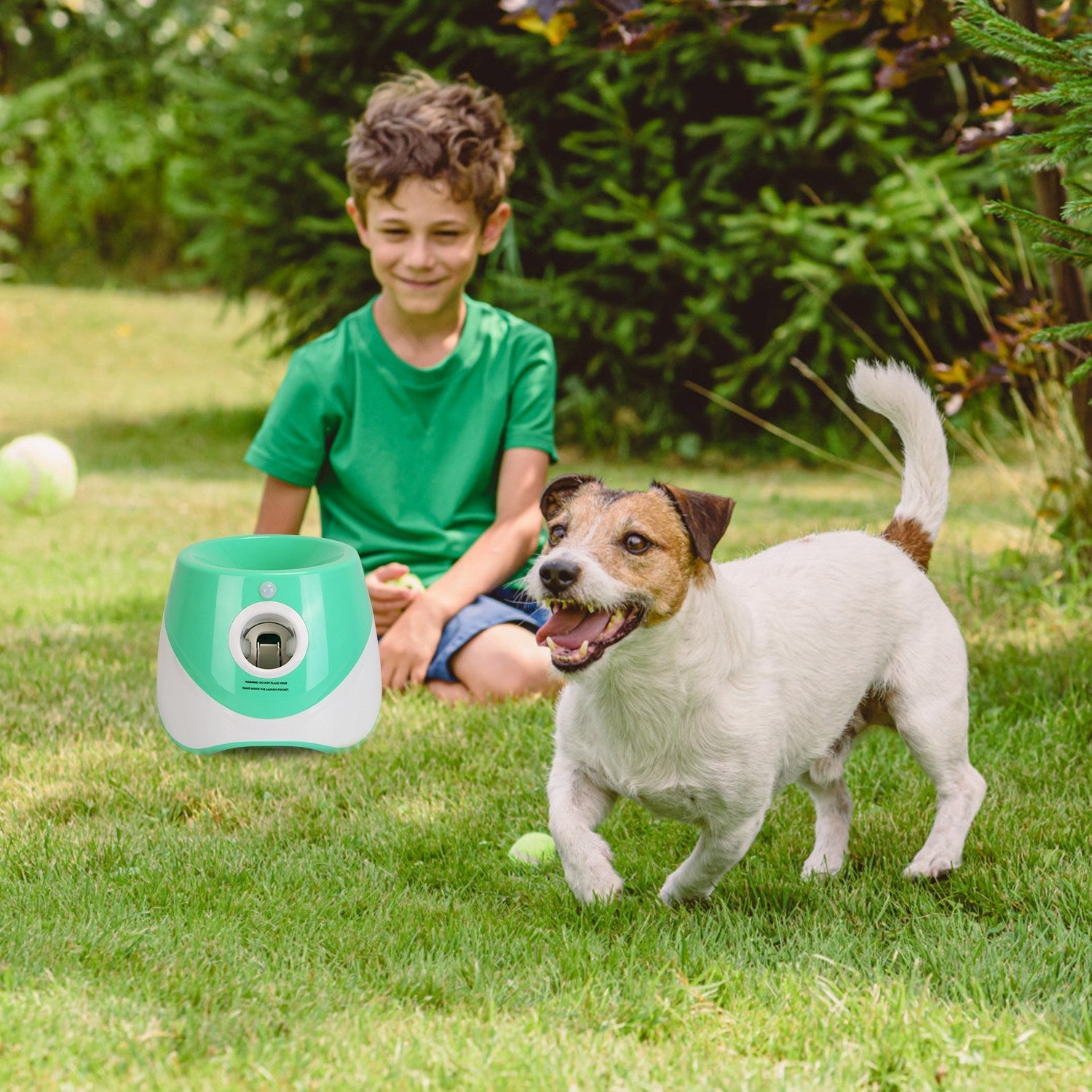 Automatic Ball Launcher for Small to Medium Dogs with 6 Tennis Balls