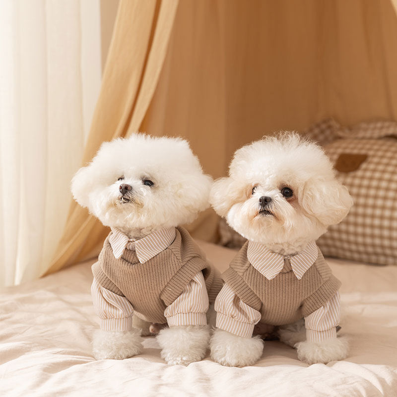 25-year New Autumn And Winter Thin Small And Medium-sized Dog Teddy Bichon Striped Two-legged Coat For Cats, Pets And Dogs