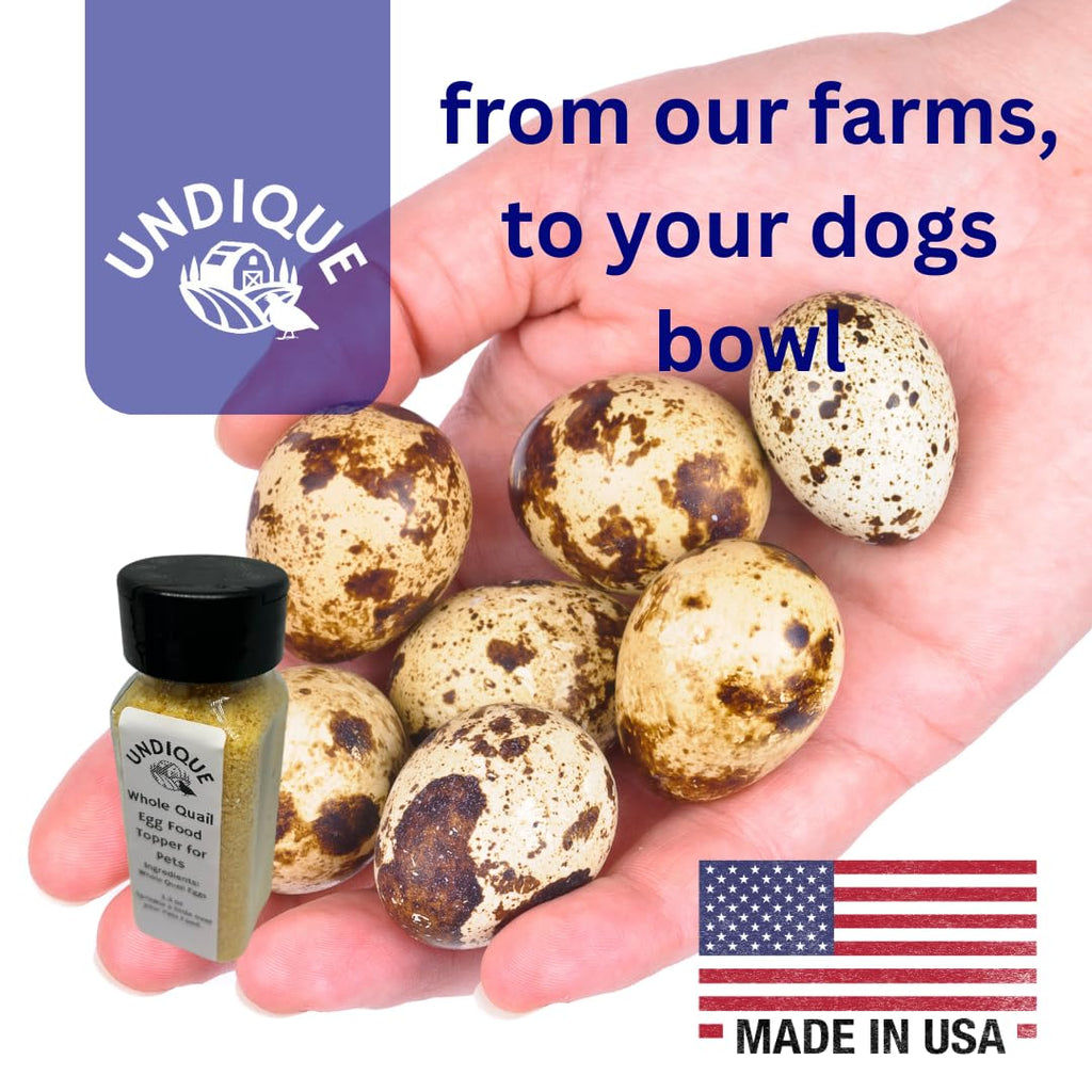 Quailicious Boost Freeze-Dried Quail Egg Topper for Dogs