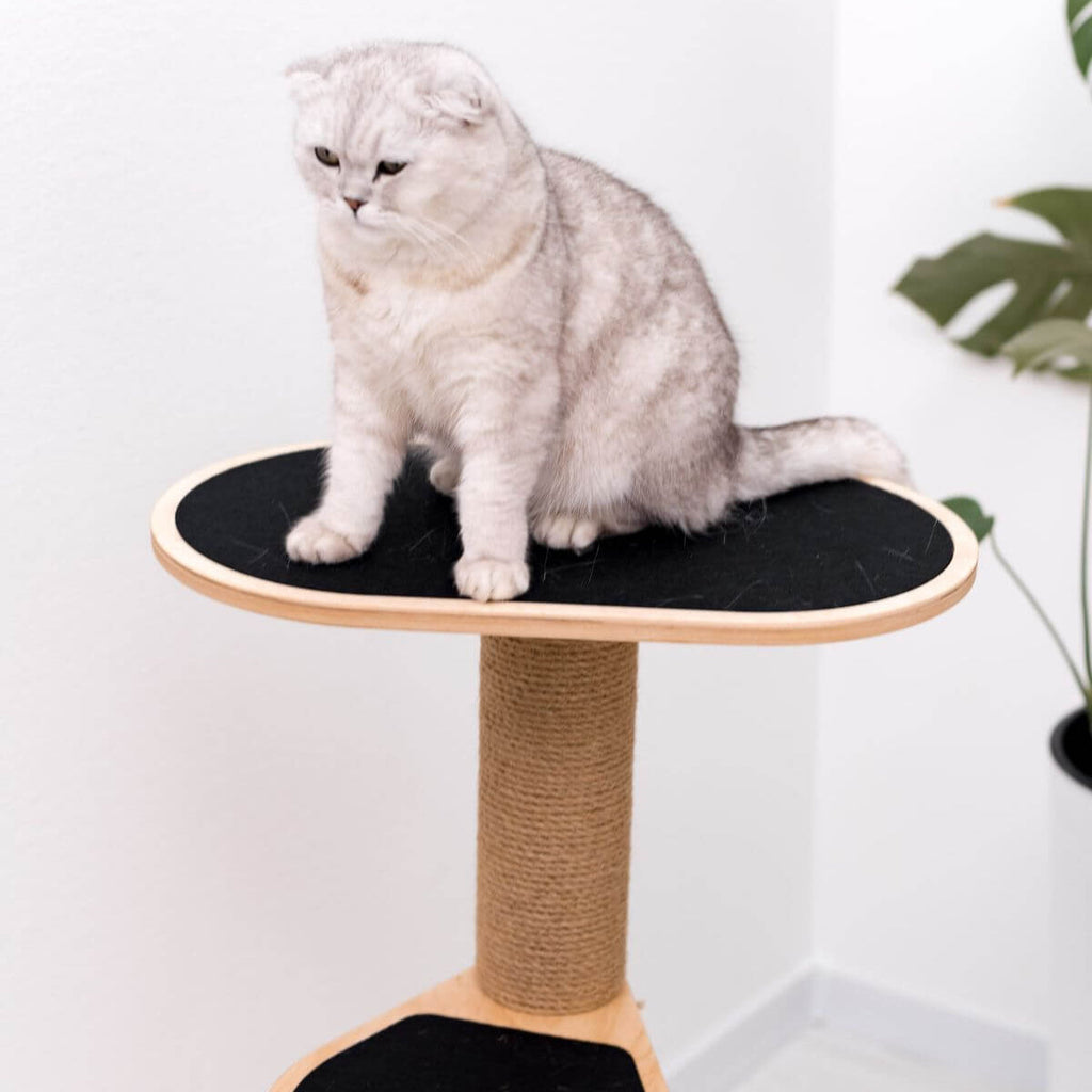 Cat Tower for Small Spaces – Eco-Friendly Plywood, Compact Design