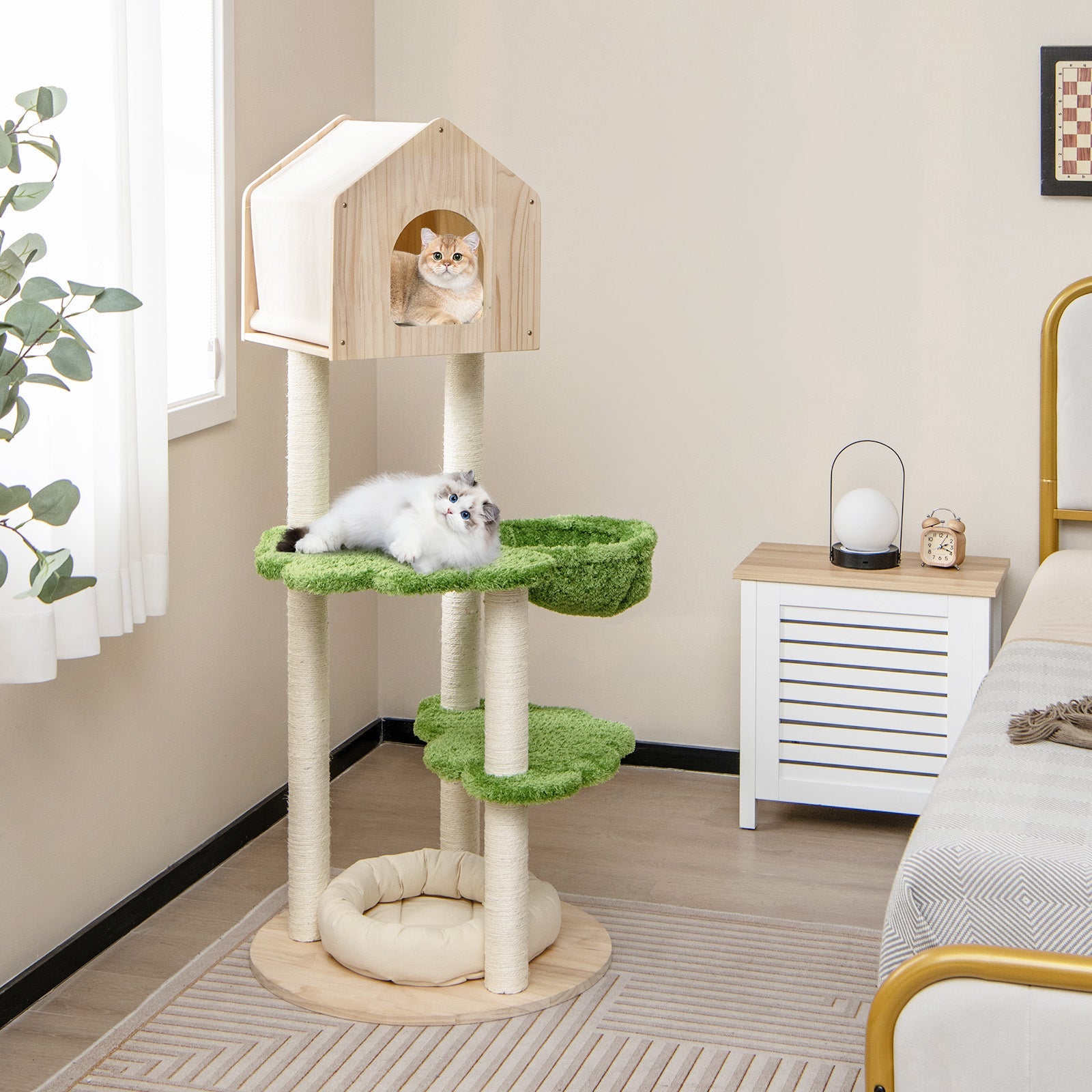 55-Inch Pine Wood Cat Climbing Stand with Hammock and Perch