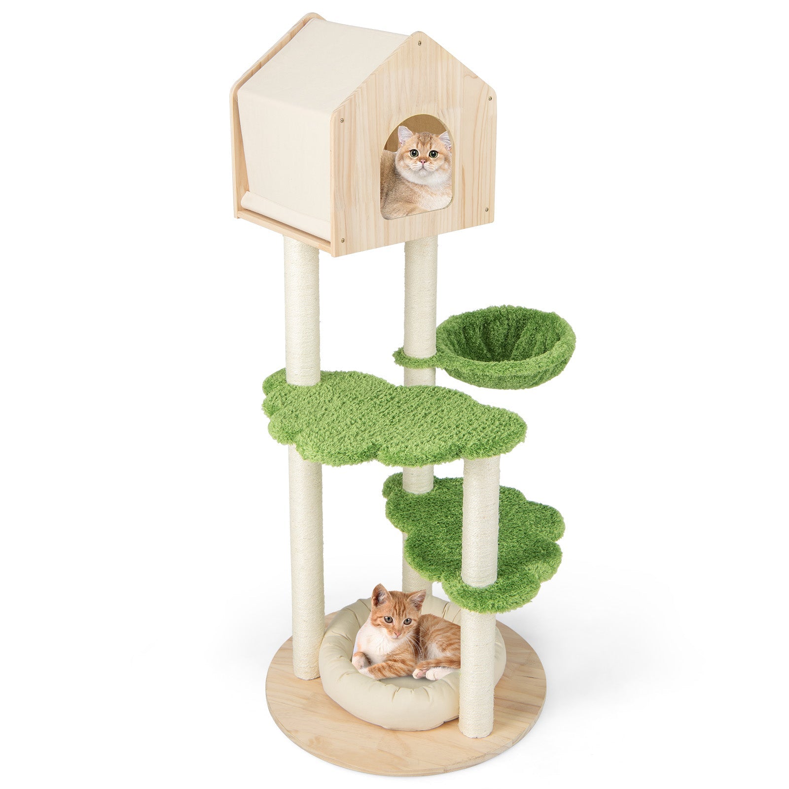 55-Inch Pine Wood Cat Climbing Stand with Hammock and Perch
