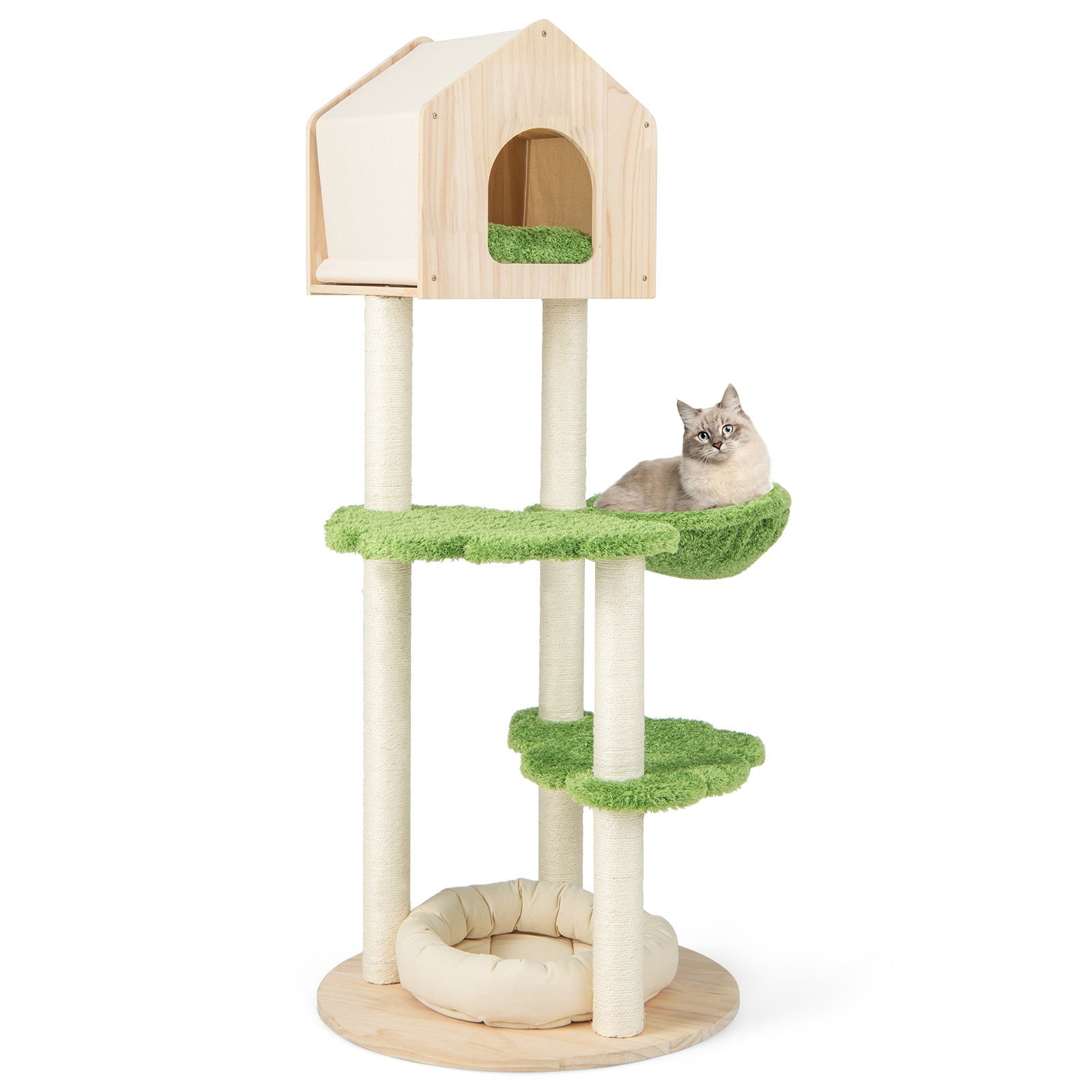 55-Inch Pine Wood Cat Climbing Stand with Hammock and Perch
