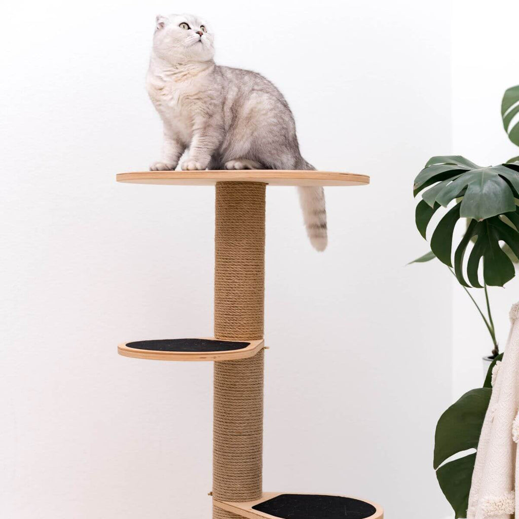 Cat Tower for Small Spaces – Eco-Friendly Plywood, Compact Design