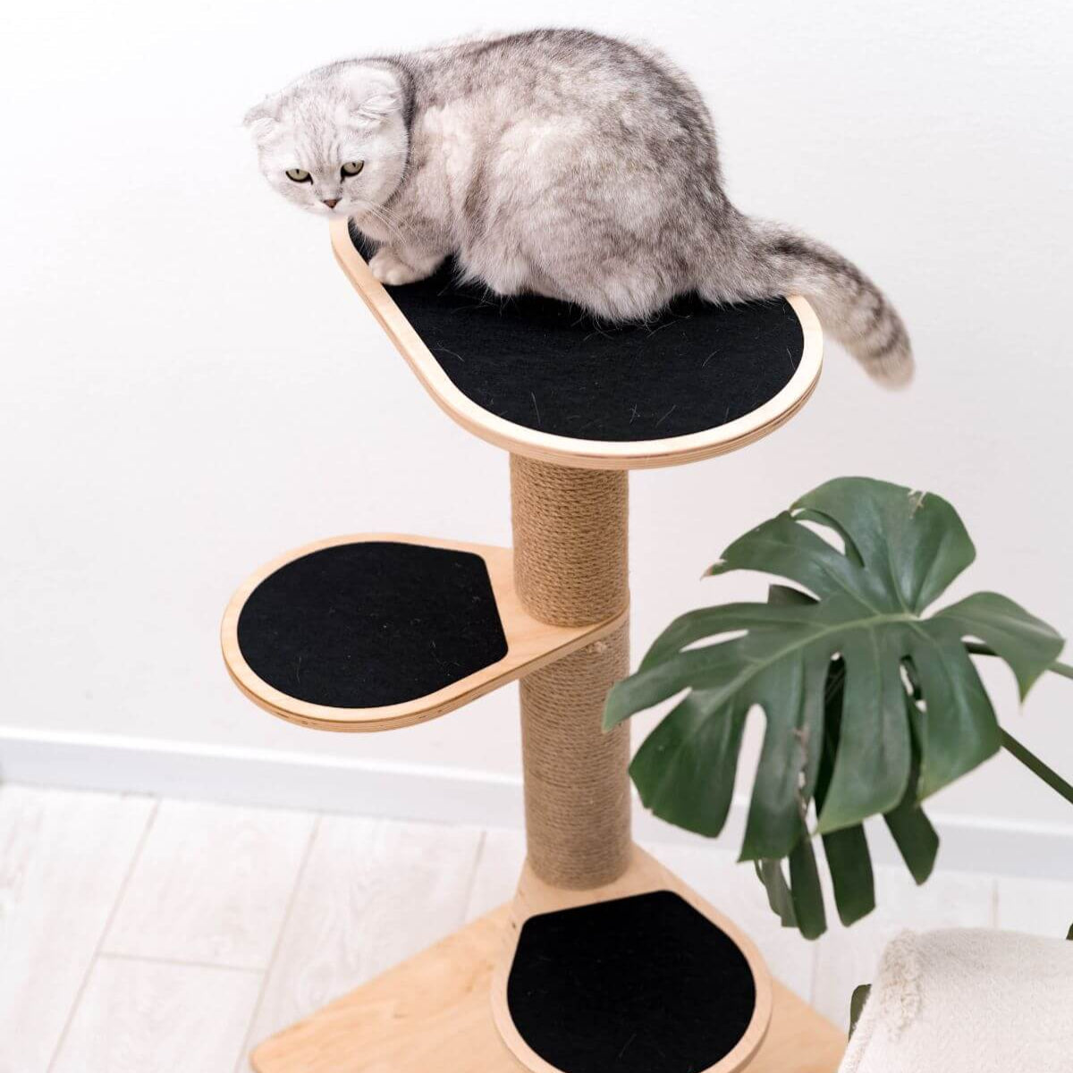 Cat Tower for Small Spaces – Eco-Friendly Plywood, Compact Design