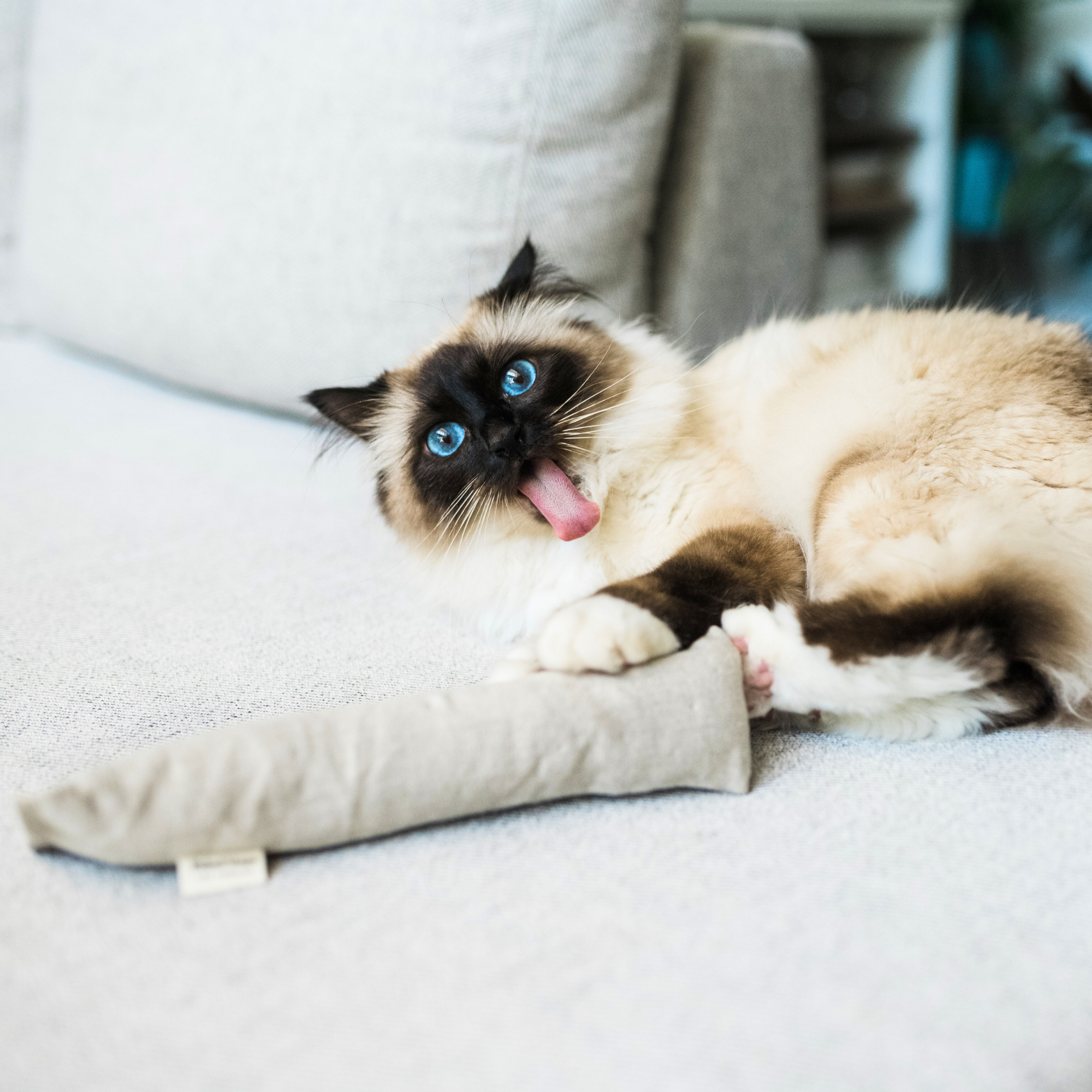 Boba & Vespa Hemp Cat Kicker Toy with Catnip
