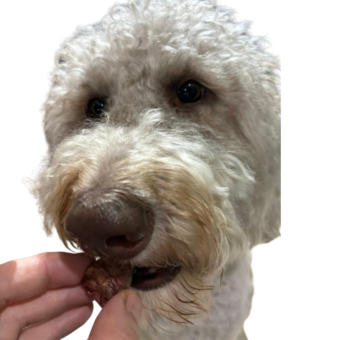 Freeze-Dried Duck Hearts Treats for Dogs and Cats