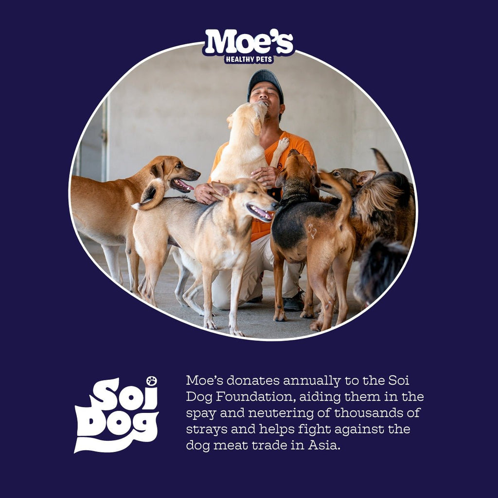 Calming Chews for Dogs with Hemp, Chamomile & Chicken Flavor